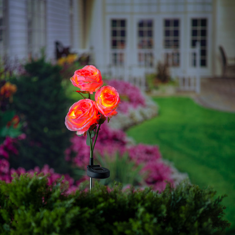 Arlmont & Co. Latravion Blooms Rose Garden Stake Wayfair Canada